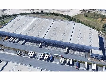 location entrepôt / local d'activités poulainville 29 683 m²