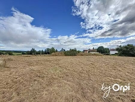 vente terrain 1500 m² nades (03450)