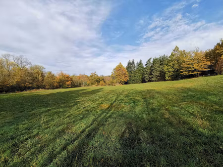 achat terrain 1 670m² frugieres le pin 43230