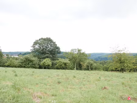 achat terrain 6 121m² la petite pierre 67290