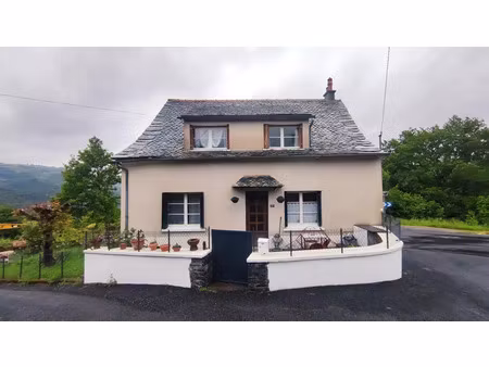 vente maison entraygues-sur-truyère 12140 - - surface privée