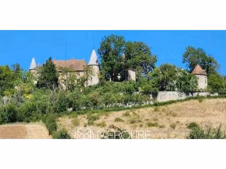 château classé monument historique ebreuil (03)