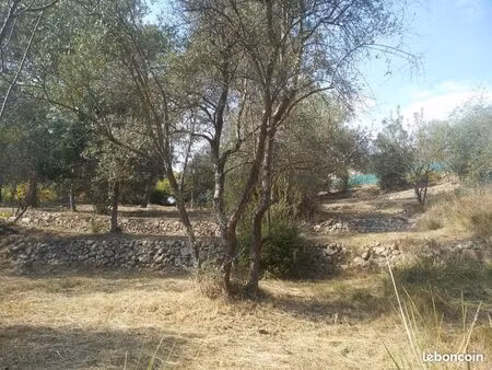 terrain constructible  exposition sud