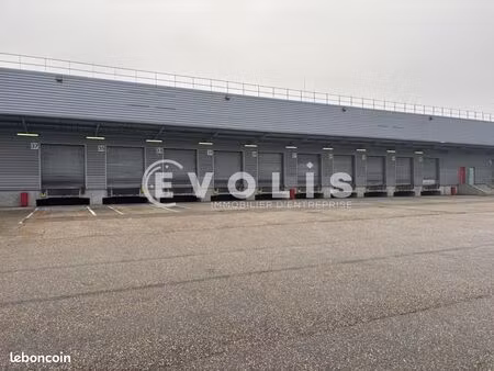 local logistique 10 011 m²