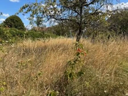 terrain à vendre
