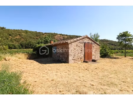 vente terrain 9610 m² à la tour-sur-orb (34260)  45 000 €