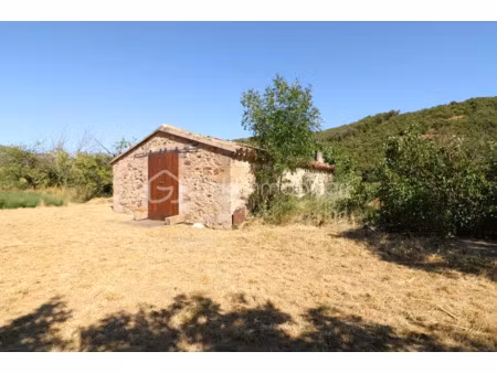 vente terrain 9610 m² à la tour-sur-orb (34260)  49 000 €