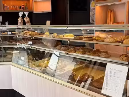 vente locaux professionnels 0 pièces 226 m² à morteau (25500)  240 000 €