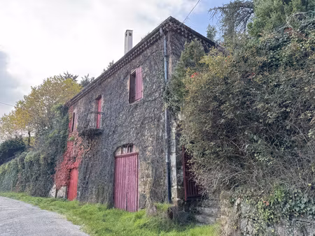 maison avec grand terrain