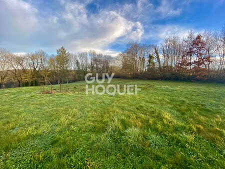 terrain à mervent 1942 m2