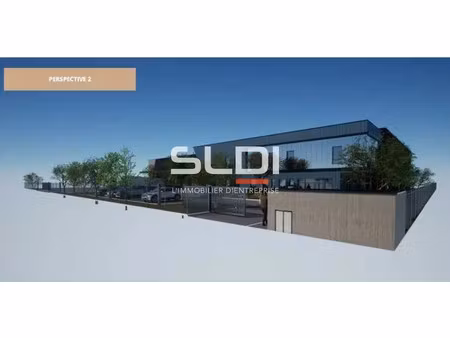 location local d'activités mions 69780