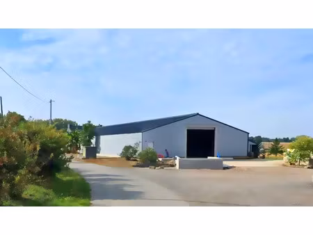 stockage 1000 m² avec quai de déchargement pl. faible loyer