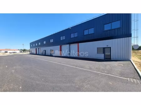 local d'activite et bureaux a louer