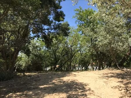 vente terrain 1113 m² la brée-les-bains (17840)