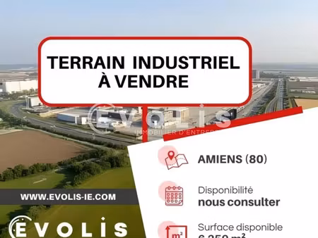 vente terrain saint sauveur 80470