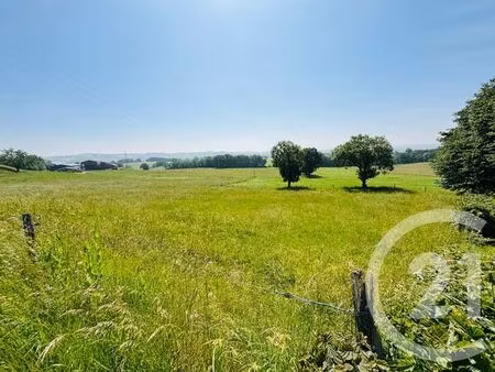 terrain à vendre - 2955 m2 - crandelles - 15 - auvergne