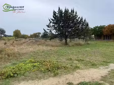 terrain constructible