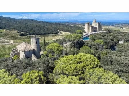 château à vendre à saint-étienne-des-sorts