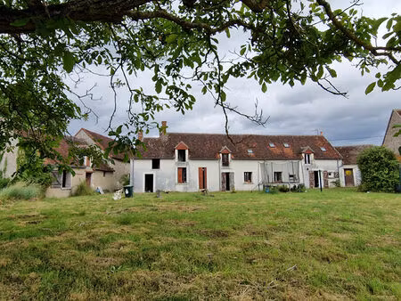 maison chatillon sur cher sur 7960 m²