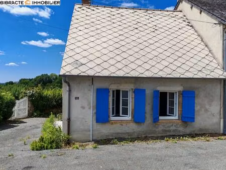 achat : maison (58360)