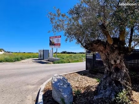 terrain 303 m² sauvian