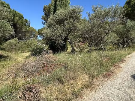 très beau terrain à construire