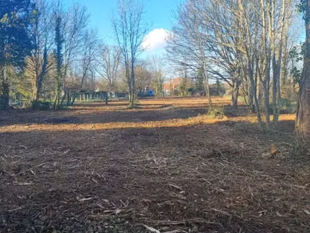 vente terrain 3839 m² à la motte-tilly (10400)  135 000 €