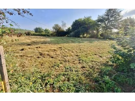 terrain siest m² t- à vendre  70 000 €