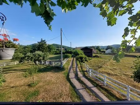 propriété avec 2 maisons  dépendances et terrain sans vis-à-vis montmort 260 m2