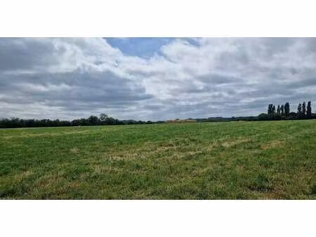 vente terrain à chavagnes (49380) : à vendre / chavagnes