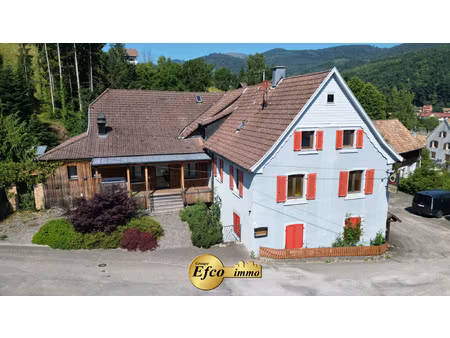 ensemble immobilier au pied des vosges