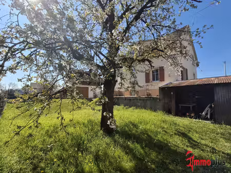 maison traditionnenlle 160 m2 kembs- loechlé avec dépendance