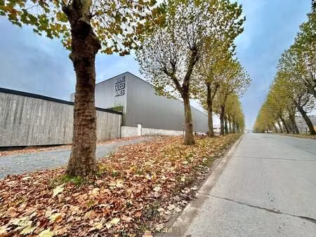 bien professionnel à louer à renaix € 5.700 (kz7vj) - immo nobels | zimmo