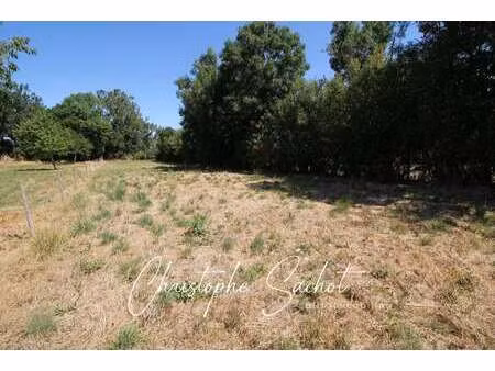 vente terrain à fors (79230) : à vendre / 1047m² fors
