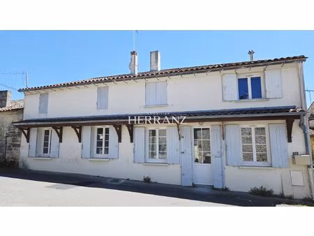 maison en pierre 110 m2 - hameau puisseguin - cour