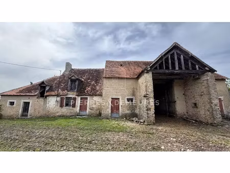 vente ferme 1 pièce 40 m² à neuvy-saint-sépulchre (36230)  27 000 €