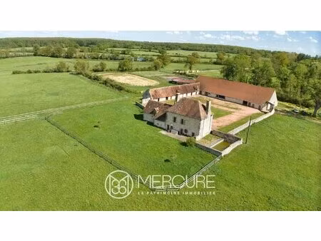 achat maison 8 pièces 280m² st menoux 03210