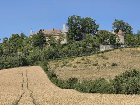 achat maison 10 pièces 356m² vicq 03450