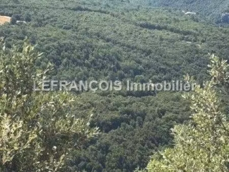 mons (var) - terrain naturel à vendre