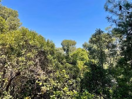 terrain à vendre à castelnau-le-lez : 800 000 € | 1000m²