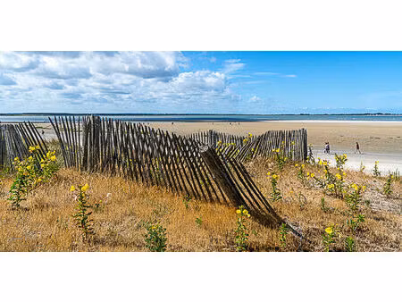 vente terrain  973.00m²  le crotoy