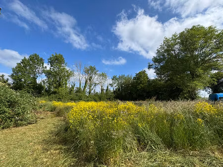 achat terrain 774m² baconnes 51400