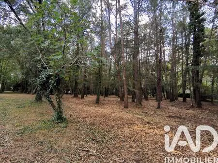 vente terrain à cenne-monestiés (11170) : à vendre / 5620m² cenne-monestiés