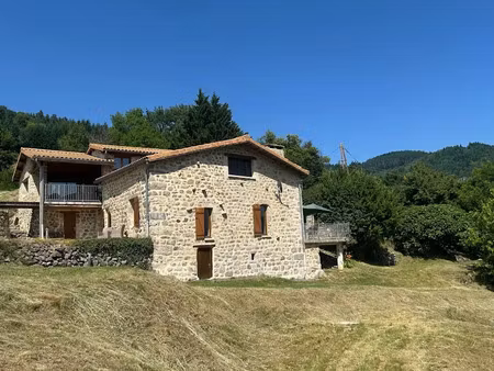 vente propriété 9 pièces 243 m² à saint-jean-roure (07160)  545 000 €