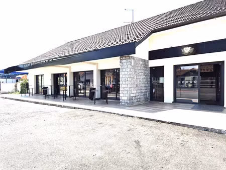 vente commerce 290 m² lons (64140)