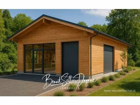 vente commerce 56 m² allonzier-la-caille (74350)