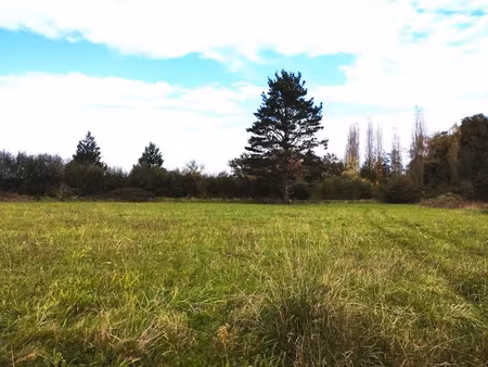 vente terrain à batir 2146 m² à sainte colombe (40700)  39 000 €