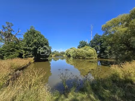 terrain de loisirs de 45 907 99 m² à martigne-sur-mayenne