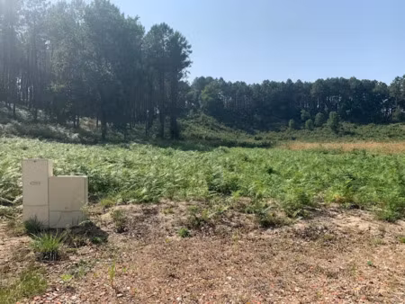 vente terrain 664 m² à vielle-saint-girons (40560)  99 000 €