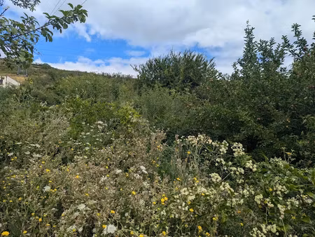 vente terrain à clermont-ferrand (63000)  210 000 €